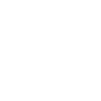 Festool logo